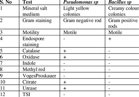pseudomonas biochemical test results|Pseudomonas .
